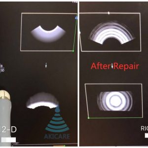 RIC6-12-D For GE Voluson E8 3D/4D Endocavitary Transducer Ultrasonido Ultrasonic Sensor Ultrasound Probe REPAIR SERVICE Akicare