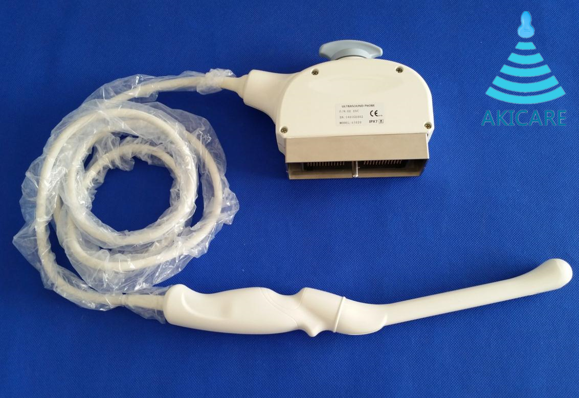 Learning Centre 4 GE E8C Probe for endocavity