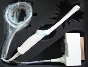 Esaote EC1123/SE3123/SE3133/E3-12 Probe