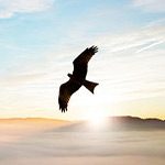 使命.jpg 使命.jpg