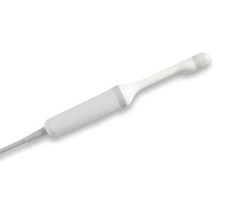Siemens 9EVF4 ultrasound probe - representative image