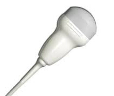bc433.png Esaote BC431 ultrasound probe - representative image