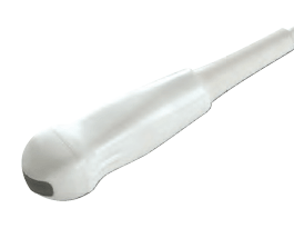 Siemens CA123 ultrasound probe - representative image