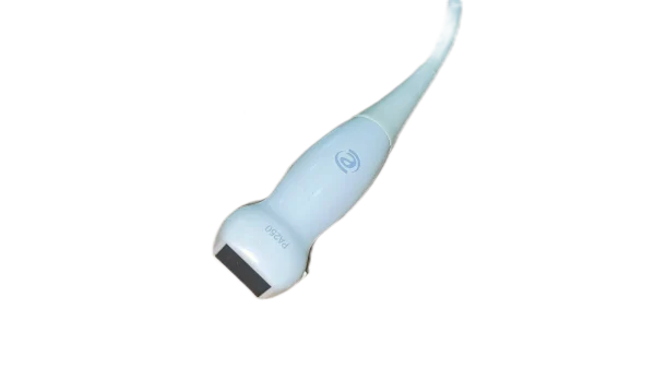 source-checked-4d827404180993e5.webp Esaote PA250 ultrasound probe - representative image