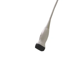 source-checked-80bdaed858615325.webp Esaote SP2430 ultrasound probe - representative image