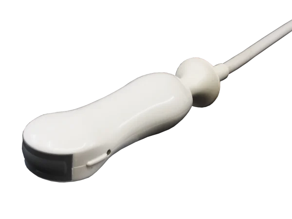 source-checked-e5240f37738e9558.webp Esaote SC3123 ultrasound probe - representative image