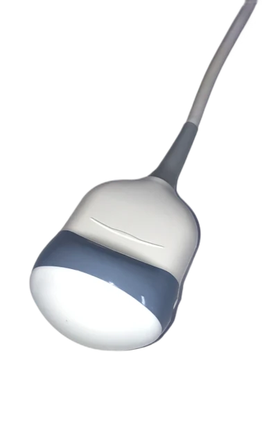 source-checked-ee6bb6b960293692.webp GE 4D3C-L ultrasound probe - representative image